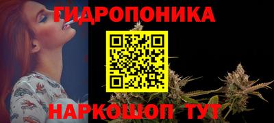 ешки Бийск