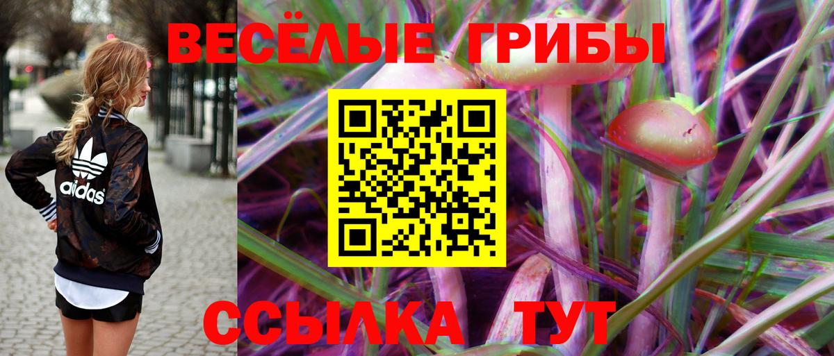 Псилоцибиновые грибы ЛСД  Галлюциногенные грибы мицелий  Калач-на-Дону  Вход с VPN 